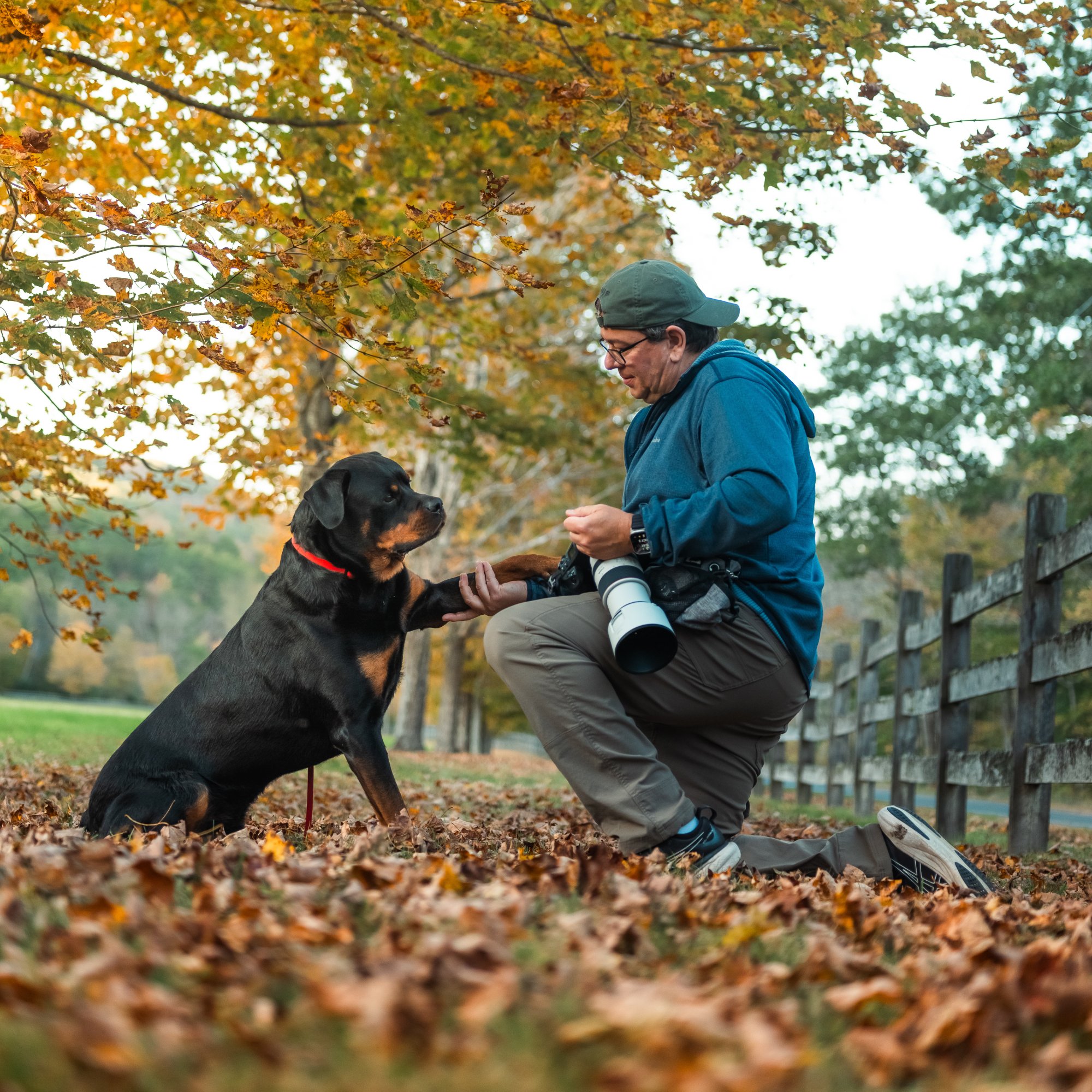 Genuine Passion
